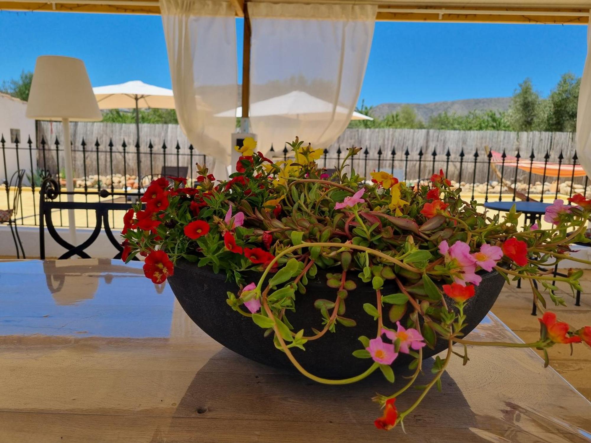 B&B Casa Blanca Oria Екстериор снимка